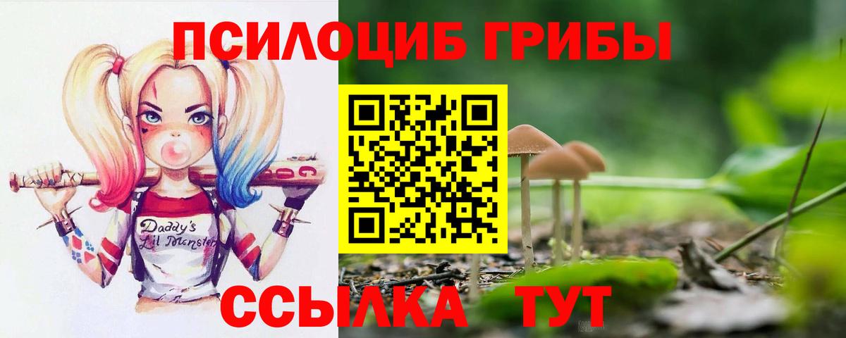 Псилоцибиновые грибы прущие грибы Рузаевка